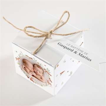 Boîte de dragées baptême forêt - Dessus de la boîte