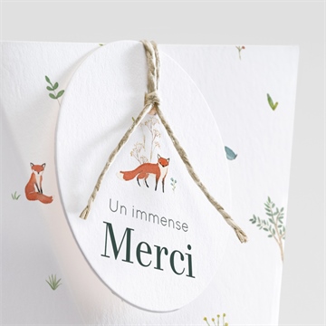 Boîte de dragées baptême forêt étui - Détail de la boîte