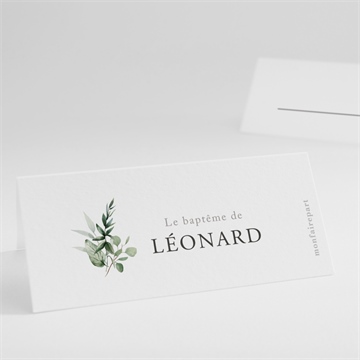 Marque-place baptême l'eucalyptus