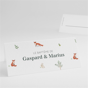 Marque-place baptême forêt