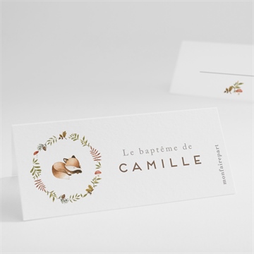 Marque-place baptême renardeau