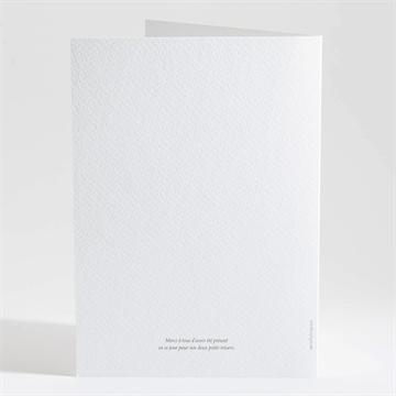 Livret de messe baptême pictos jumeaux - Dos du livret