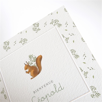 Faire-part naissance écureuil - Détail du faire-part