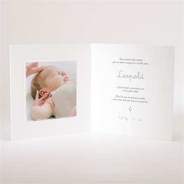 Faire-part naissance écureuil - Intérieur du faire-part