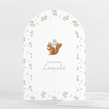 Faire-part naissance écureuil arche