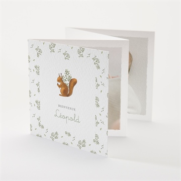 Faire-part naissance écureuil accordéon