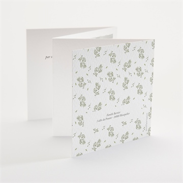 Faire-part naissance écureuil accordéon - Dos du faire-part