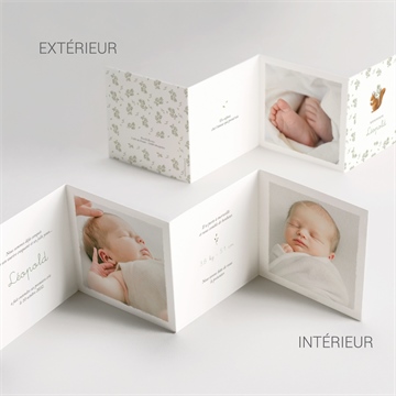 Faire-part naissance écureuil accordéon - Vue d'ensemble