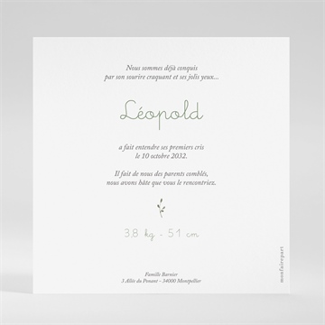 Faire-part naissance écureuil carré - Dos du faire-part