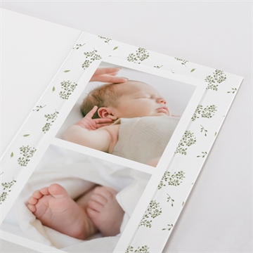 Remerciement naissance écureuil - Détail du faire-part