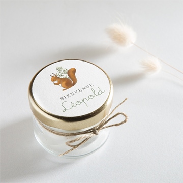 Sticker naissance écureuil - Mise en situation