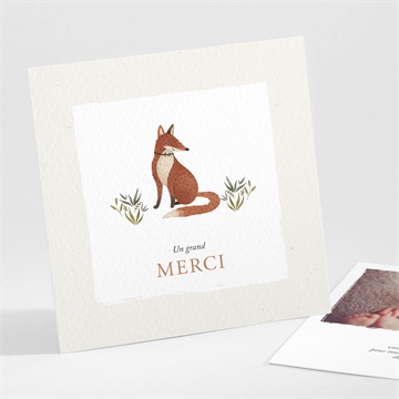 Remerciement naissance le conte du renard