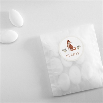 Sticker naissance le conte du renard - Mise en situation