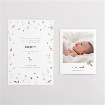 Faire-part naissance gaiement duo - Vue d'ensemble