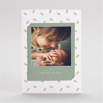 Faire-part naissance mon petit frère