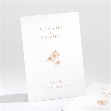 Save the Date mariage passionnément