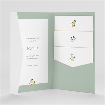 Faire-part naissance citrons et fruits - Intérieur du faire-part