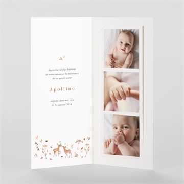 Faire-part naissance ronde de la forêt photomaton - Intérieur du faire-part