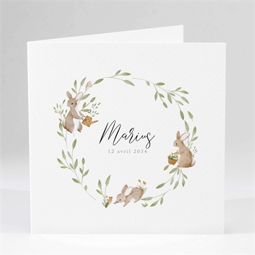 Faire-part naissance petits lapins
