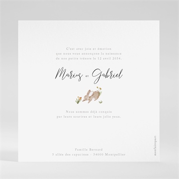 Faire-part naissance petits lapins jumeaux - Dos du faire-part