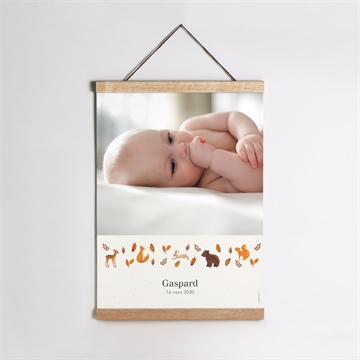 Affiche naissance renard et animaux