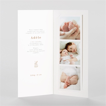 Faire-part naissance noël - Intérieur du faire-part