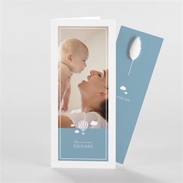 Faire-part naissance pictogrammes fleur séchée