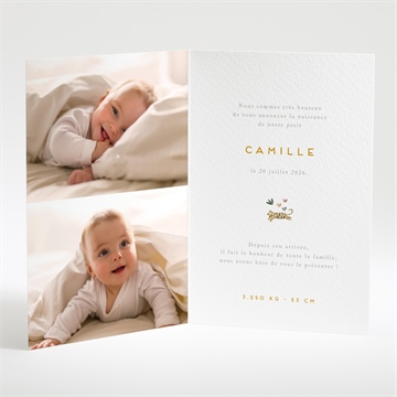 Faire-part naissance savane - Intérieur du faire-part