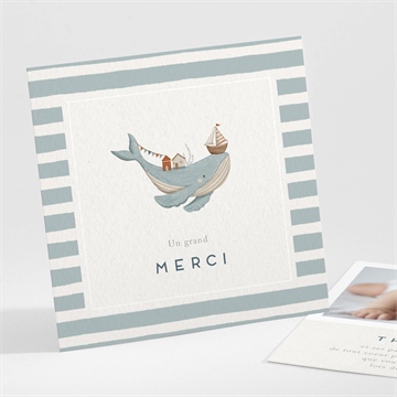 Remerciement naissance animaux marins