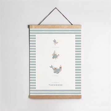 Affiche naissance animaux marins