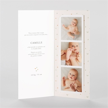 Faire-part naissance fleurs et renard photomaton - Intérieur du faire-part