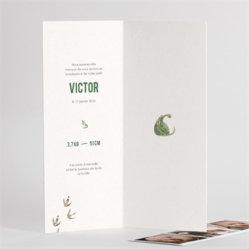 Faire-part naissance dinosaure - Intérieur du faire-part 2