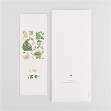 Faire-part naissance dinosaure - Dos du faire-part