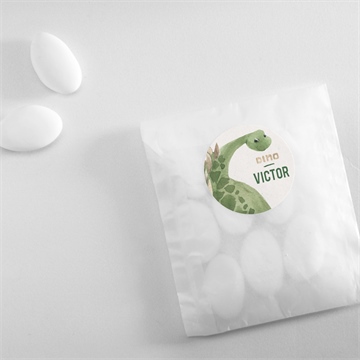 Sticker naissance dinosaure - Mise en situation