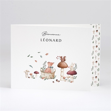 Faire-part naissance champignons