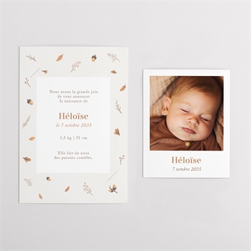 Faire-part naissance automne duo - Vue d'ensemble