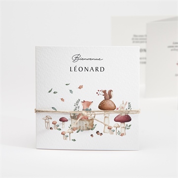 Faire-part naissance champignons accordéon