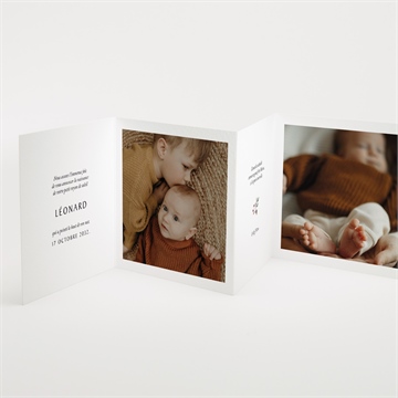 Faire-part naissance champignons accordéon - Intérieur du faire-part