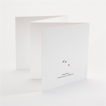 Faire-part naissance champignons accordéon - Dos du faire-part