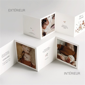 Faire-part naissance champignons accordéon - Vue détaillée