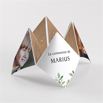 Faire-part communion illustration végétale origami