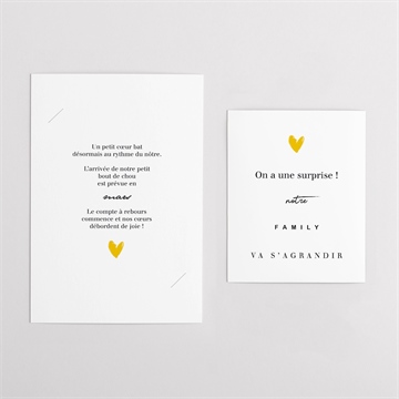 Carte annonce grossesse la famille s'agrandit ! duo - Vue d'ensemble