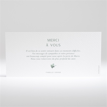 Remerciement décès bel apaisement paysage - Dos du faire-part