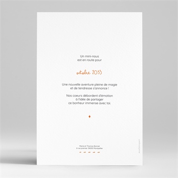 Carte annonce grossesse tata - Dos du faire-part