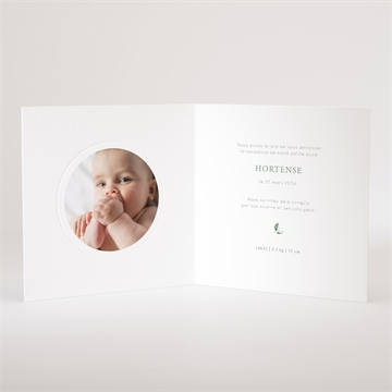 Faire-part naissance koala jungle - Intérieur du faire-part