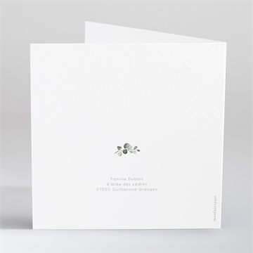 Faire-part naissance koala jungle - Dos du faire-part