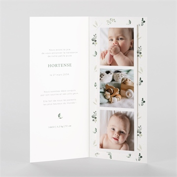 Faire-part naissance koala jungle photomaton - Intérieur du faire-part