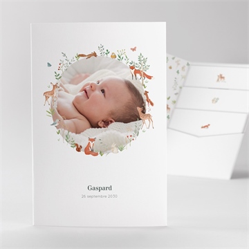 Faire-part naissance gaiement pocketfold