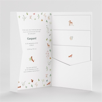 Faire-part naissance gaiement pocketfold - Intérieur du faire-part