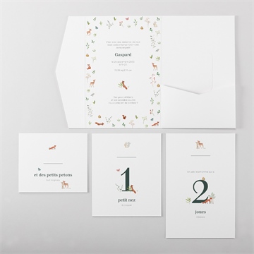 Faire-part naissance gaiement pocketfold - Vue d'ensemble intérieur